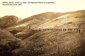 29- secteur du telagh 014